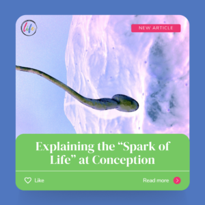 Explaining the “Spark of Life” at Conception - When Does Life Begin?