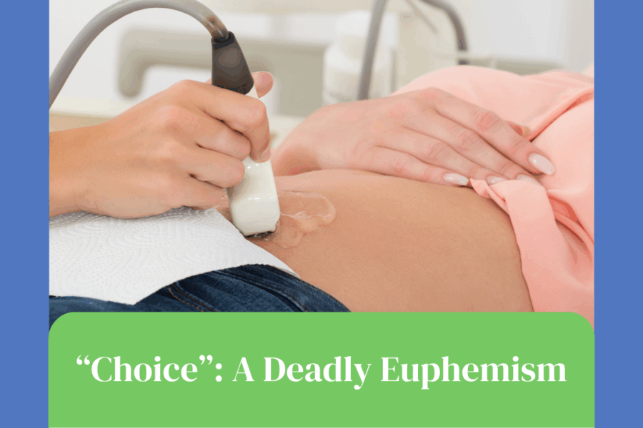 Choice: A Deadly Euphemism - When Does Life Begin?