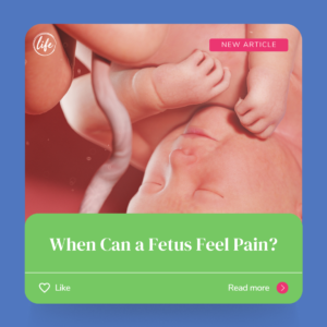 When Can a Fetus Feel Pain? - When Does Life Begin?