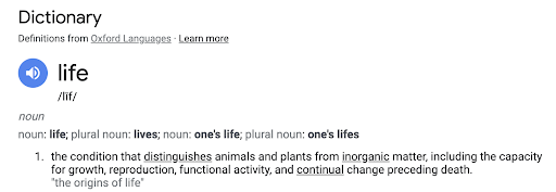 When Does Life Begin?