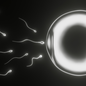 Fetal Development in the First Trimester - When Does Life Begin?
